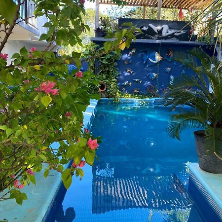 מלון בקאלאר Casa Chukum מראה חיצוני תמונה Butterfly House